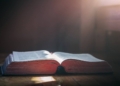 Daily Bible Verse – 29th July 2025 | Scripture, Message & Prayer