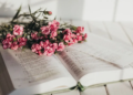 Bible Verses for Comfort in Grief | Scriptures of Hope and Healing