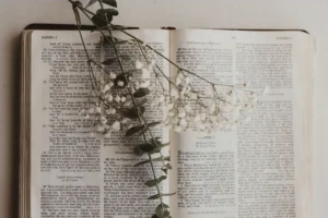 Bible Verse of the Day 12th February 2026
