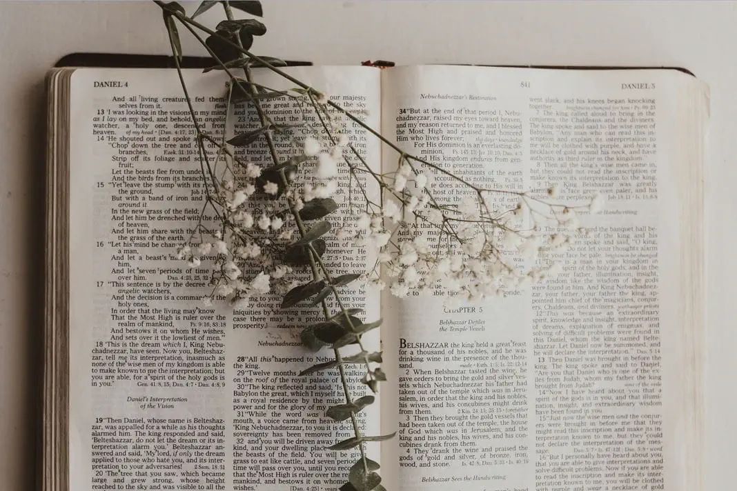 Daily Bible Verse – 13th November 2025 | Scripture, Message & Prayer