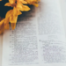 Daily Bible Verse – 3rd August 2025 | Scripture, Message & Prayer