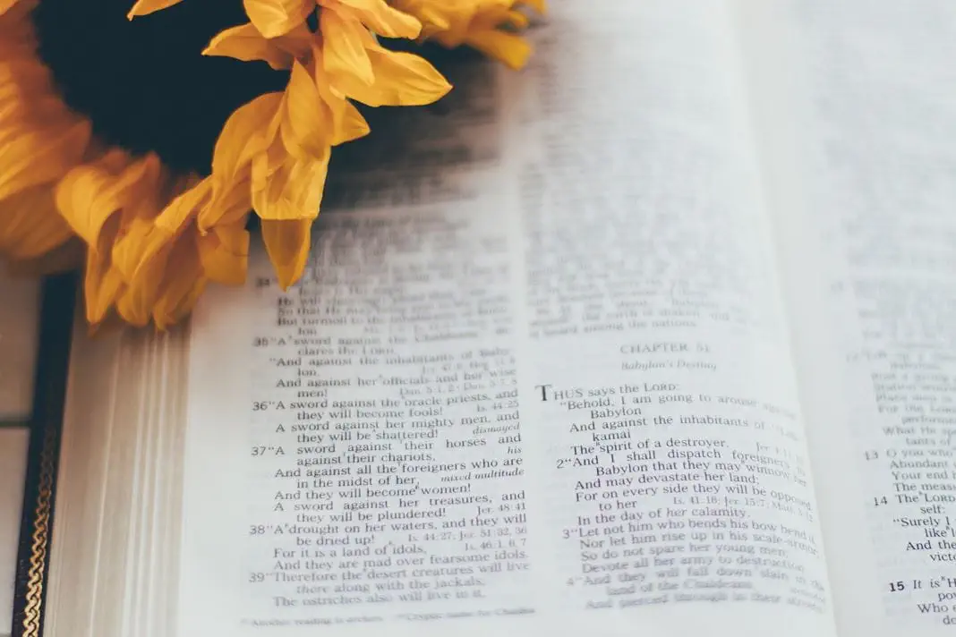 Bible Verse of the Day 15th February 2026