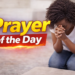 Prayer for Today – August 12, 2026 | Daily Morning Devotional