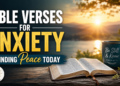 Bible Verses for Anxiety & Finding Peace Today