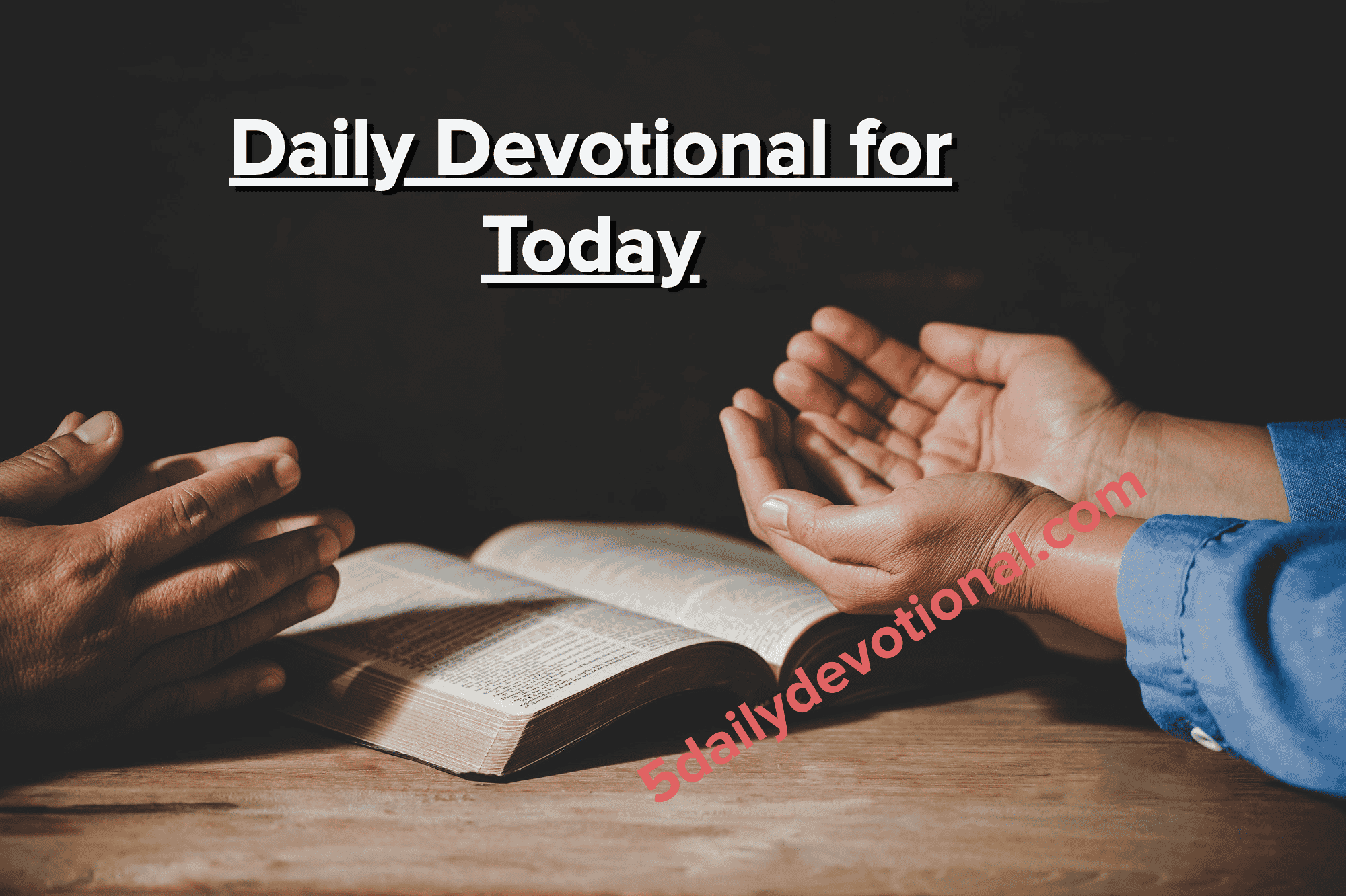 Daily Devotional For Today 24 November 2022