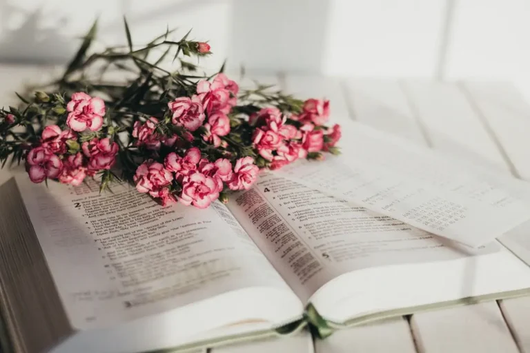 Bible Verse of the Day 14th February 2026
