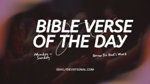 Bible Verse of the Day – 28th November 2025